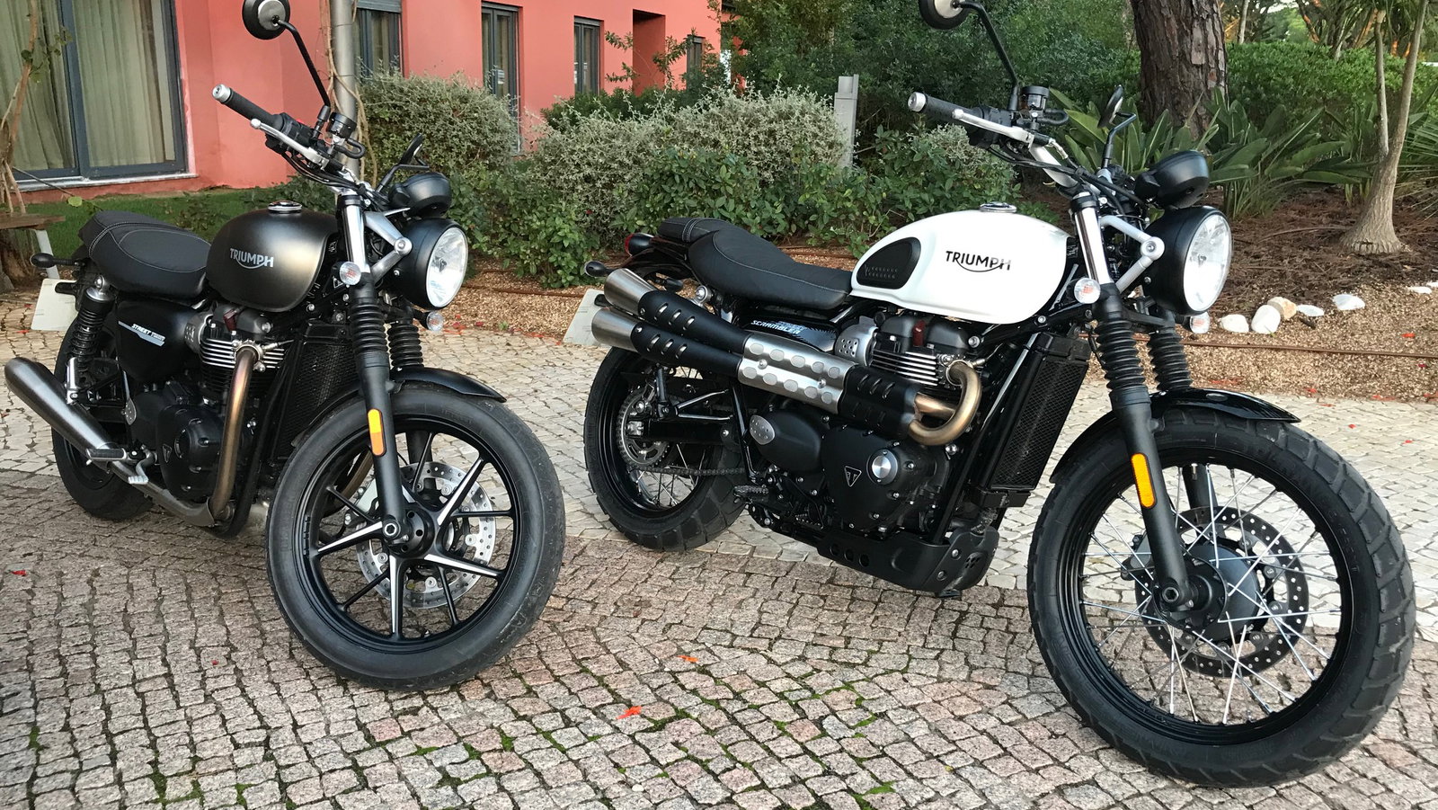 First impressions: 2019 Triumph Street Twin and Scrambler